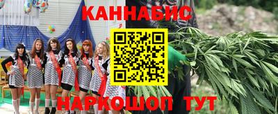 молекула духа Будённовск