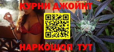 молекула духа Будённовск