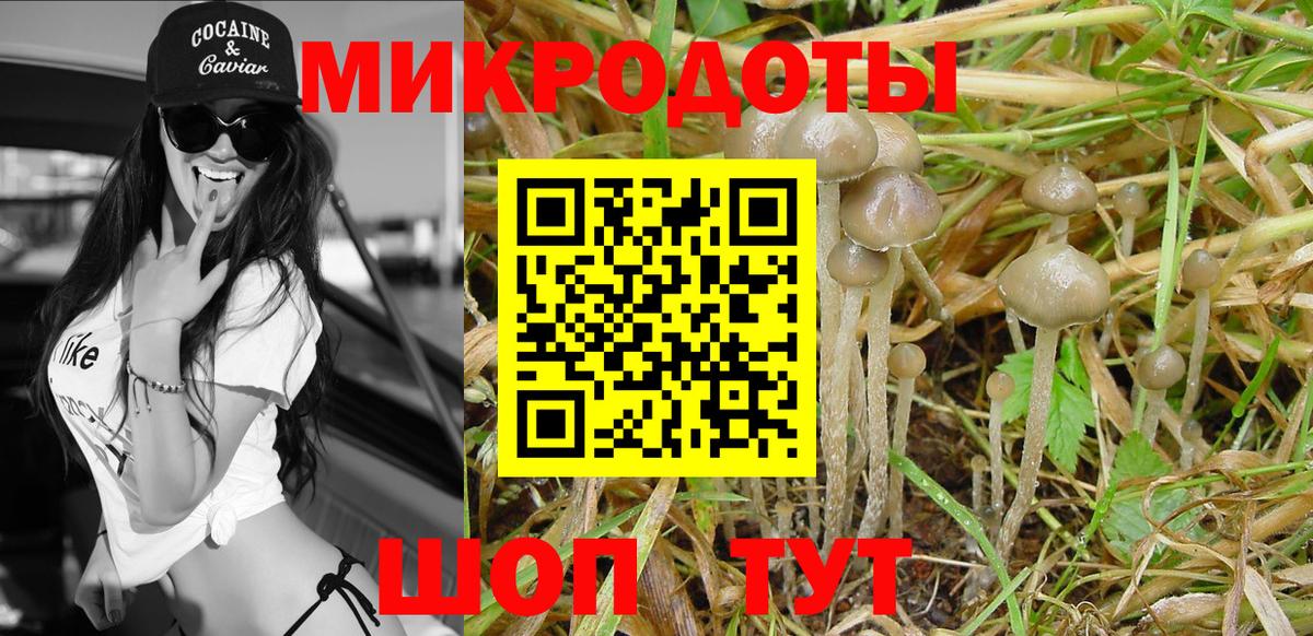 Галлюциногенные грибы Magic Shrooms Мурманск