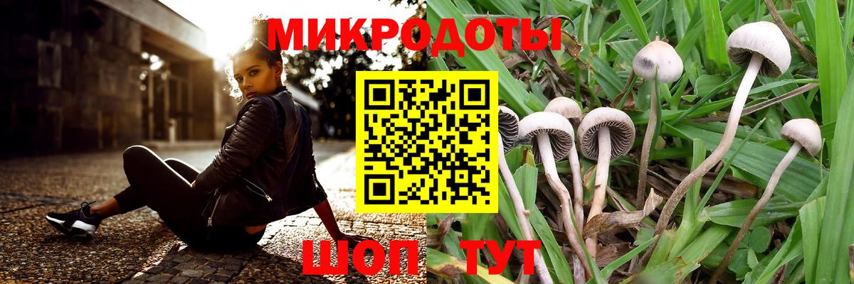 Псилоцибиновые грибы Psilocybe  Вход с VPN  цена   Мурманск 